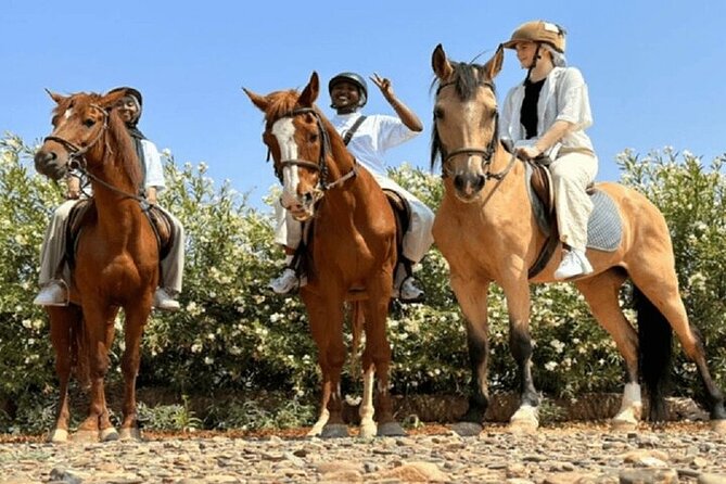 Palmeraie Grove Horse Ride 2 Hour Trip with Transfer - Marrakesh - Leaving Marrakech for the Palmeraie Grove