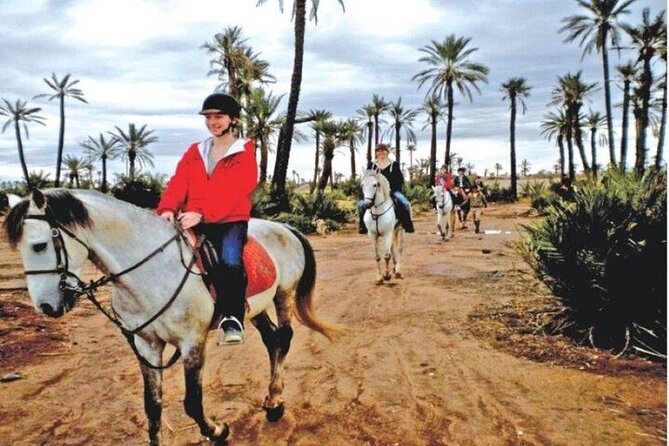 Palmeraie Grove Horse Ride 2 Hour Trip with Transfer - Marrakesh - From a calm walk to a faster pace