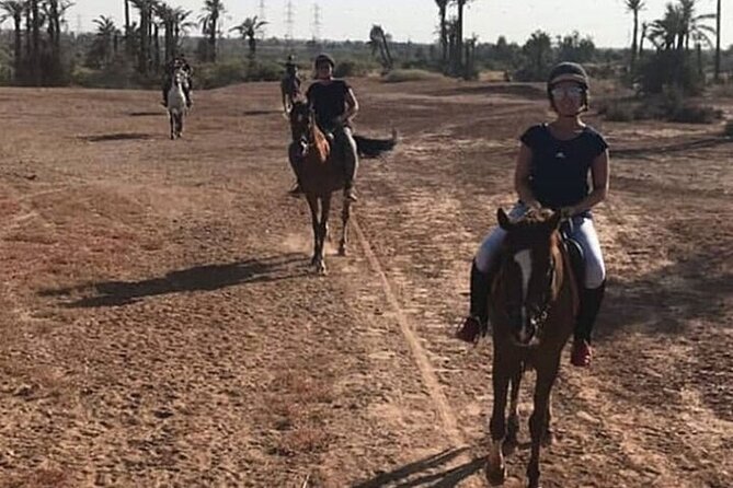 Palmeraie Grove Horse Ride 2 Hour Trip with Transfer - Marrakesh - What the Palmeraie scenery offers