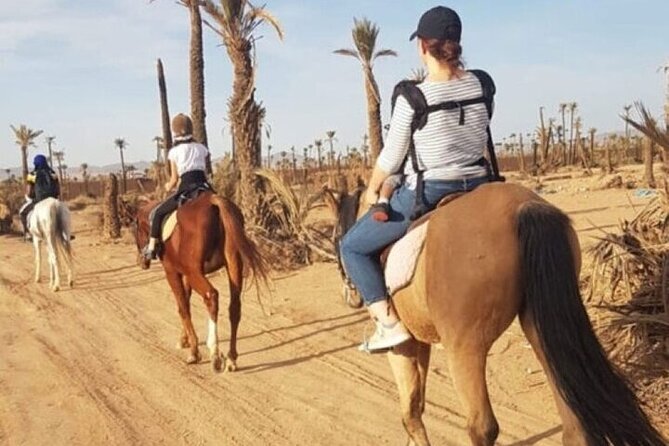 Palmeraie Grove Horse Ride 2 Hour Trip with Transfer - Marrakesh - A traditional tea stop after the ride