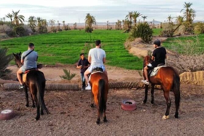 Palmeraie Grove Horse Ride 2 Hour Trip with Transfer - Marrakesh - What the $5 price really means