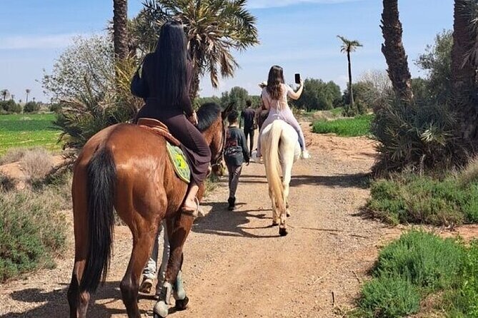 Palmeraie Grove Horse Ride 2 Hour Trip with Transfer - Marrakesh - Who will enjoy this ride most