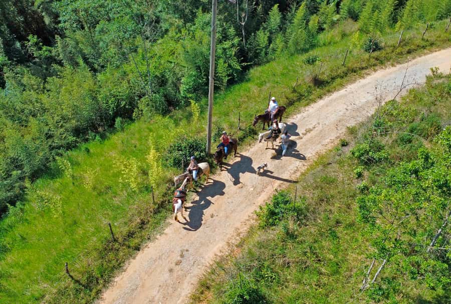 Paraty: 3-Hour Rainforest Horseback Ride - Key points to know before you ride