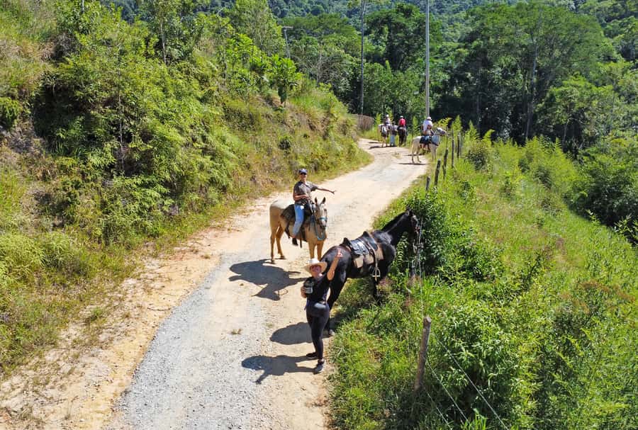 Paraty: 3-Hour Rainforest Horseback Ride - My call: book it if the ride is the point