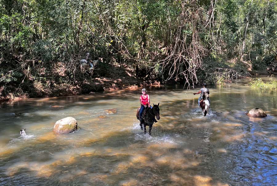 Paraty: 3-Hour Rainforest Horseback Ride - Leaving Paraty for the Pedras Azuis trailhead