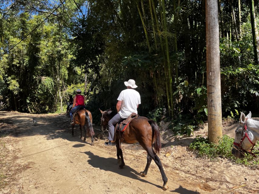 Paraty: 3-Hour Rainforest Horseback Ride - Waterfall stops and time in the saddle