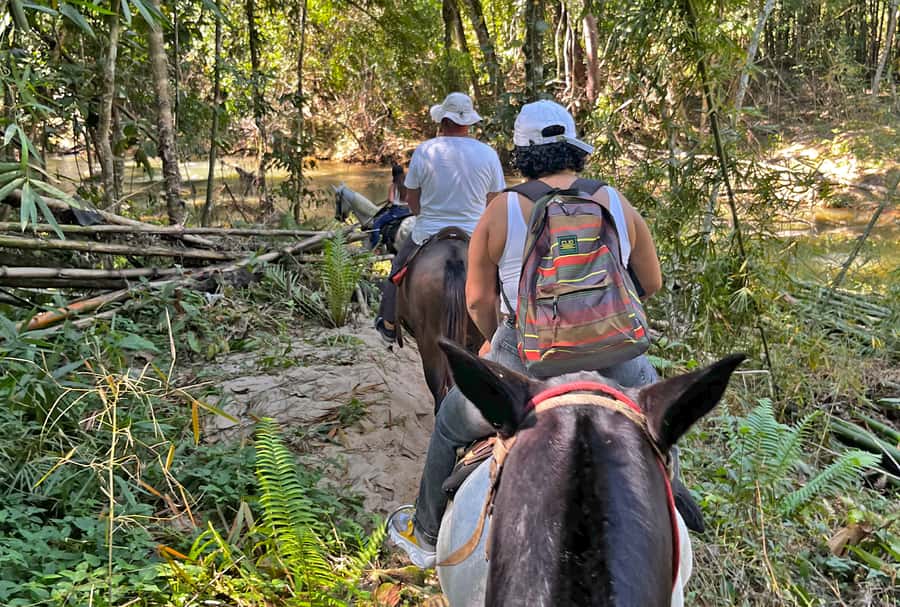 Paraty: 3-Hour Rainforest Horseback Ride - The lookouts over Paraty and the bay