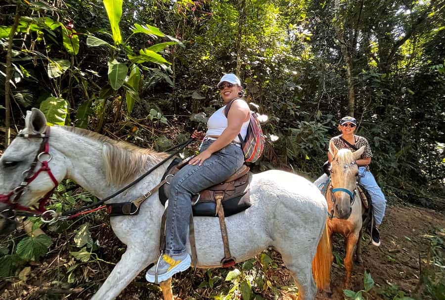 Paraty: 3-Hour Rainforest Horseback Ride - What the $120 price actually covers