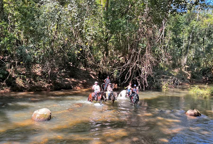 Paraty: 3-Hour Rainforest Horseback Ride - Who will enjoy this horseback ride most