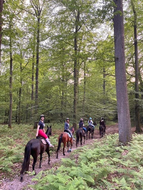 Paris: Aumont-en-Halatte Horseback Riding Tour - A practical escape from Paris