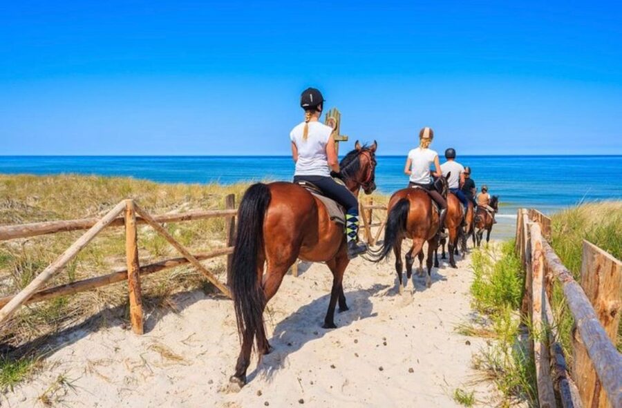 Paros: Morning Island Horseback Riding Adventure - Why a morning ride shows you another Paros