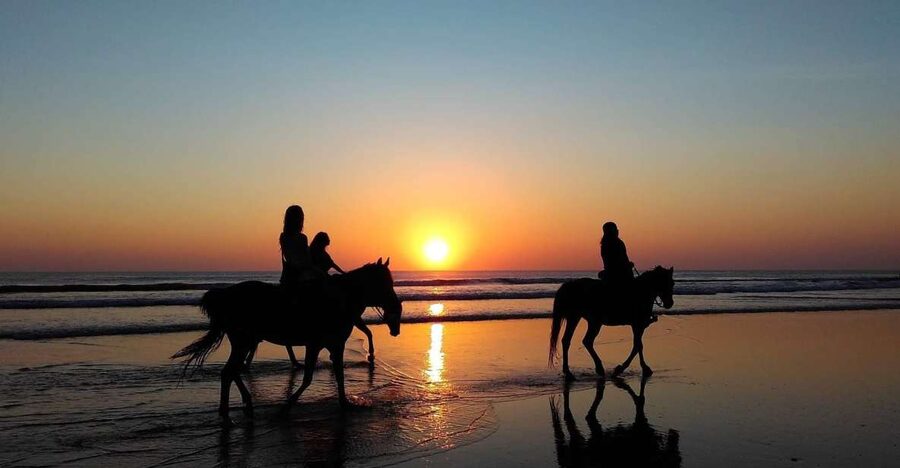 Paros: Morning Island Horseback Riding Adventure - On the trail: fields, valleys, and rough ground