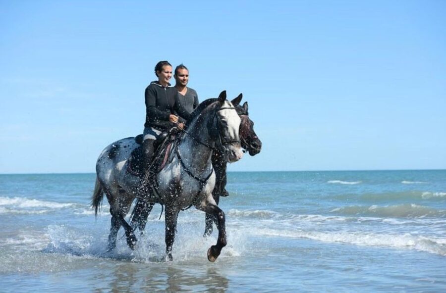 Paros: Morning Island Horseback Riding Adventure - How much conversation should you expect?