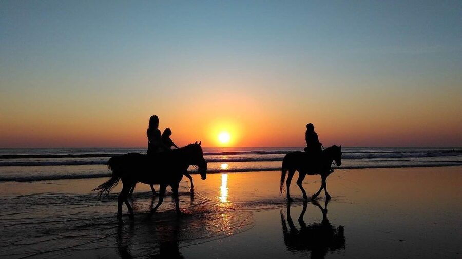 Paros: Morning Island Horseback Riding Adventure - What is included for the $102 price?