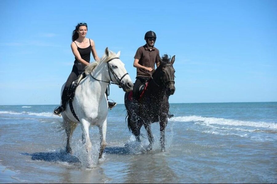 Paros: Morning Island Horseback Riding Adventure - First-time riders get hands-on help