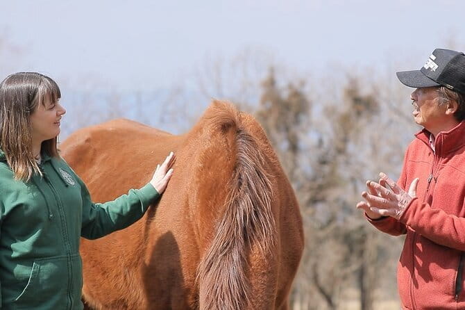 Pasture Hike with Horse Whisperer at Horse Trust in Kagoshima - A two-hour walk through two to four pastures