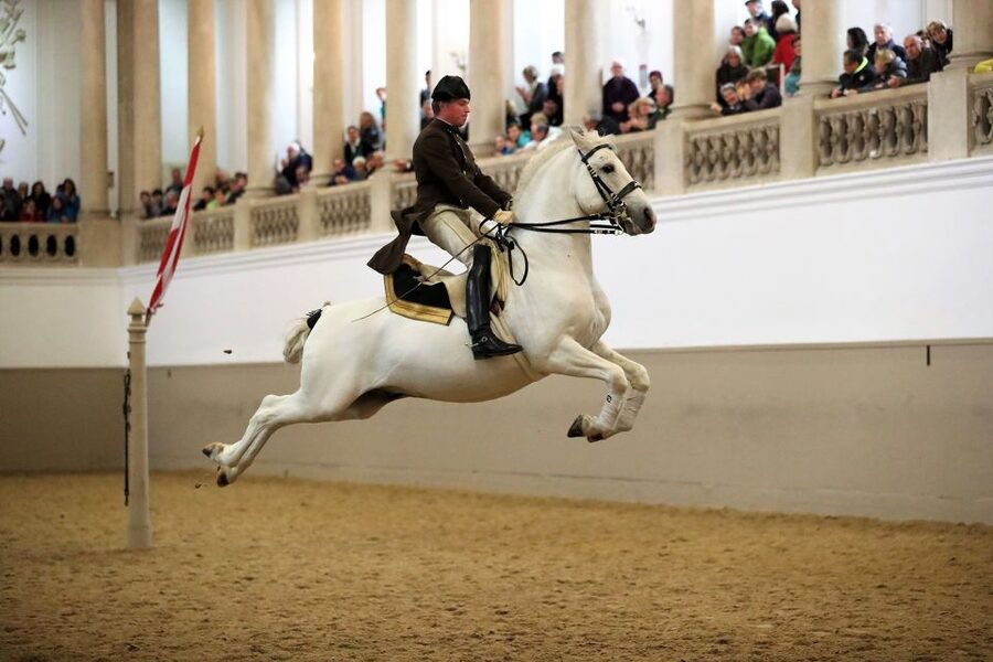 Performance Of The Lipizzans At Spanish Riding School - Entering the Winter Riding School at Hofburg Palace