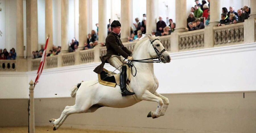 Performance Of The Lipizzans At Spanish Riding School - Choosing between the 70-minute, 90-minute, and two-hour shows