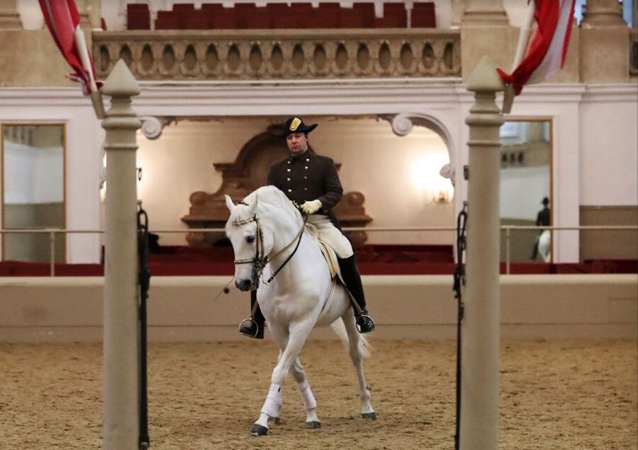 Performance Of The Lipizzans At Spanish Riding School - Why the UNESCO recognition matters