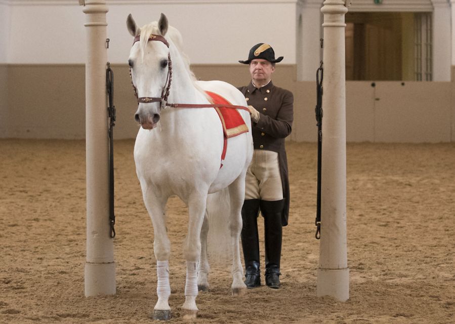 Performance Of The Lipizzans At Spanish Riding School - FAQ
