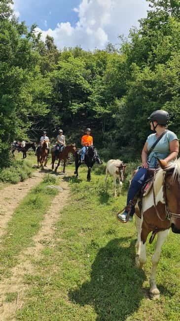 Përmet: Amazing Horse Riding Experience at Vjosa NP - The photos and videos are a real bonus