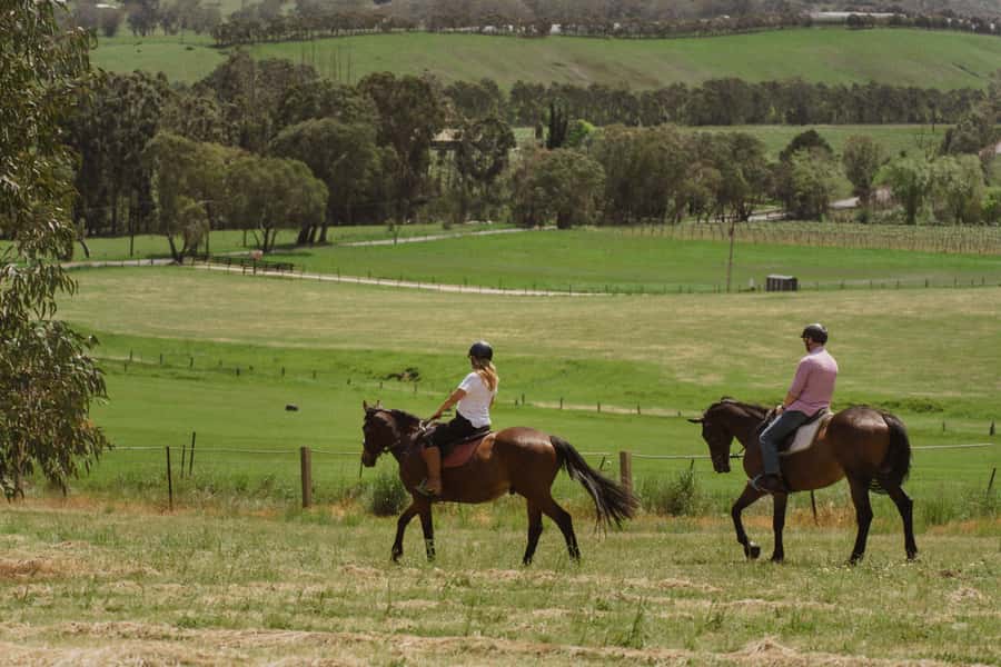 Petaluma: Horseback Riding and Wine Tasting Tour - Key points at a glance