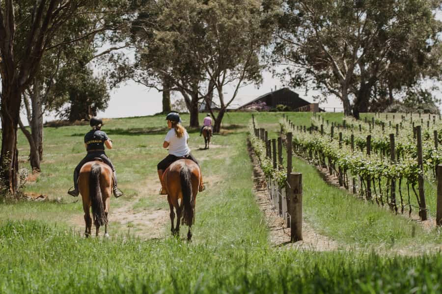 Petaluma: Horseback Riding and Wine Tasting Tour - The first riding lesson before the trail