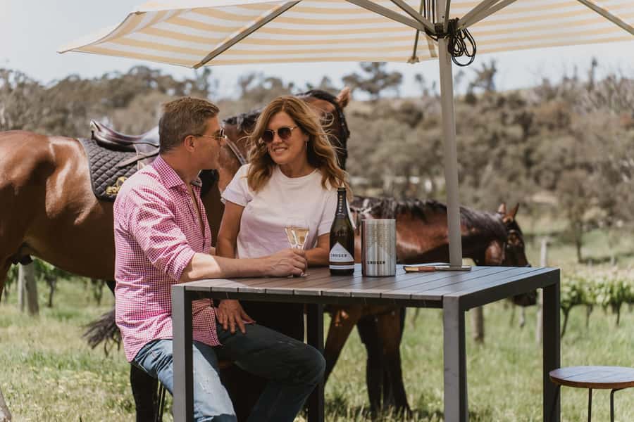 Petaluma: Horseback Riding and Wine Tasting Tour - Is the $138 price fair?
