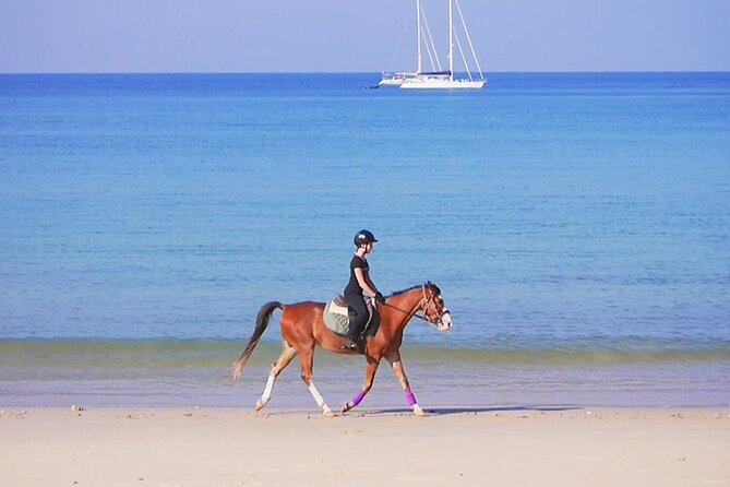 Phuket Beach and Horse Rides 1 Hour Experience - From Kamala Horse Riding Club to the beach