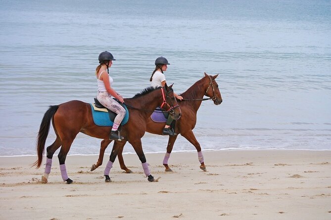 Phuket Beach and Horse Rides 1 Hour Experience - Why the beginner setup matters