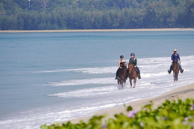 Phuket Beach and Horse Rides 1 Hour Experience - Horses, equipment, and the finish at the stable