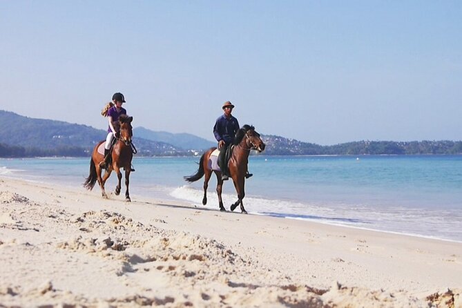 Phuket Beach and Horse Rides 1 Hour Experience - The small-group advantage