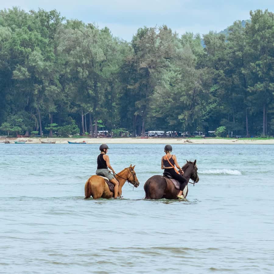 Phuket Beach Horseback Adventure - From the stable to Nai Yang Beach
