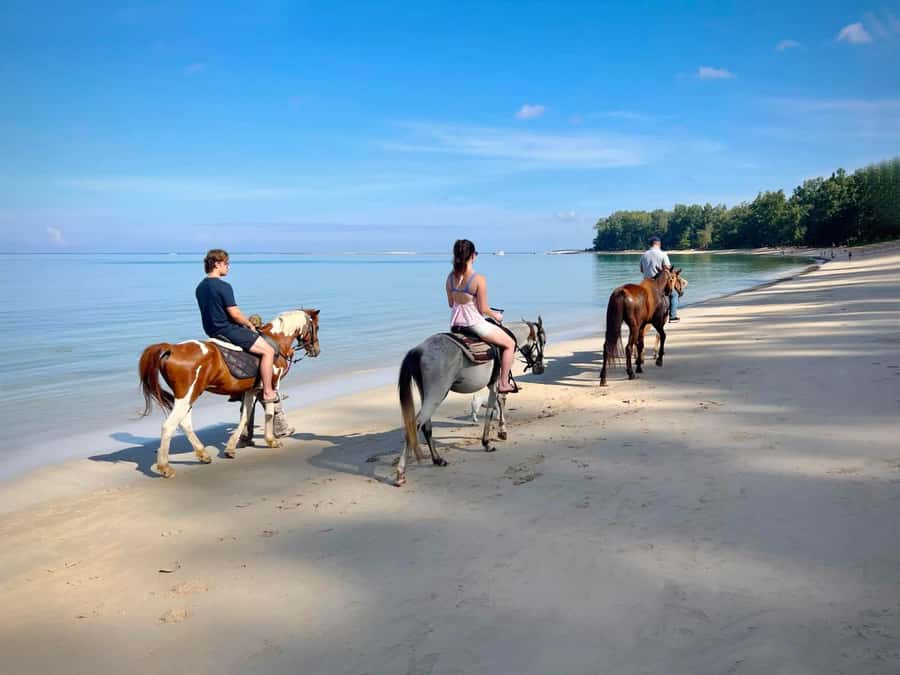 Phuket Beach Horseback Adventure - Sunrise at 7:00 a.m. or sunset at 5:15 p.m.