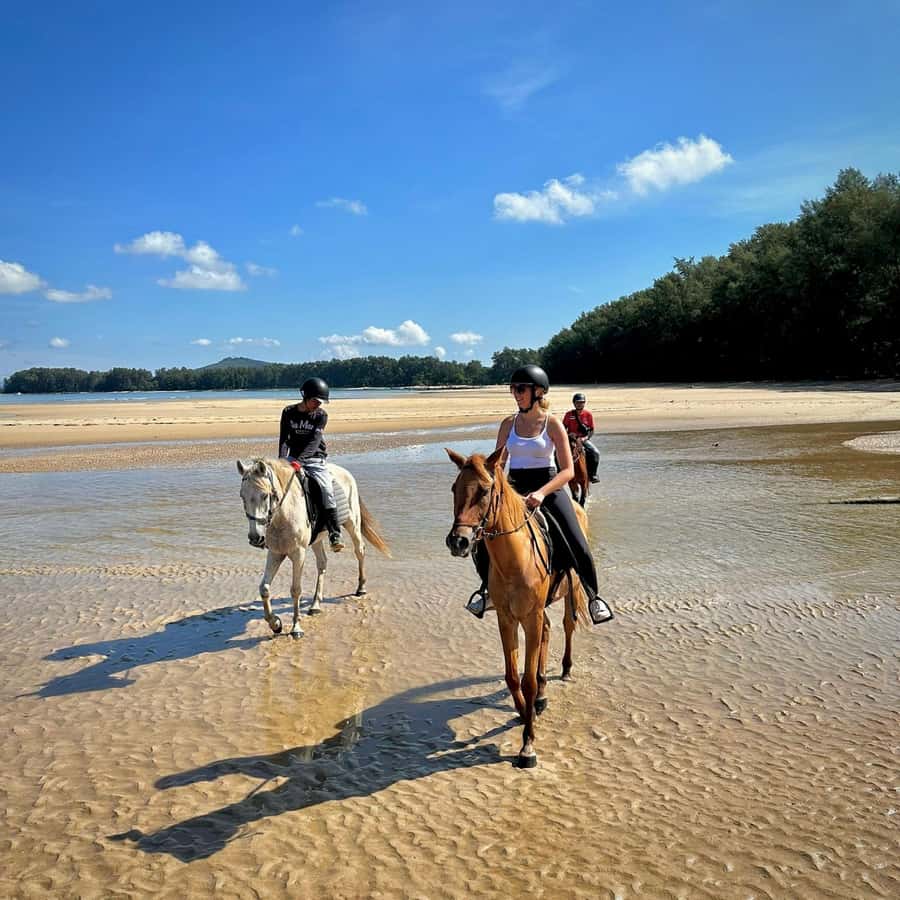 Phuket Beach Horseback Adventure - What is included for $75