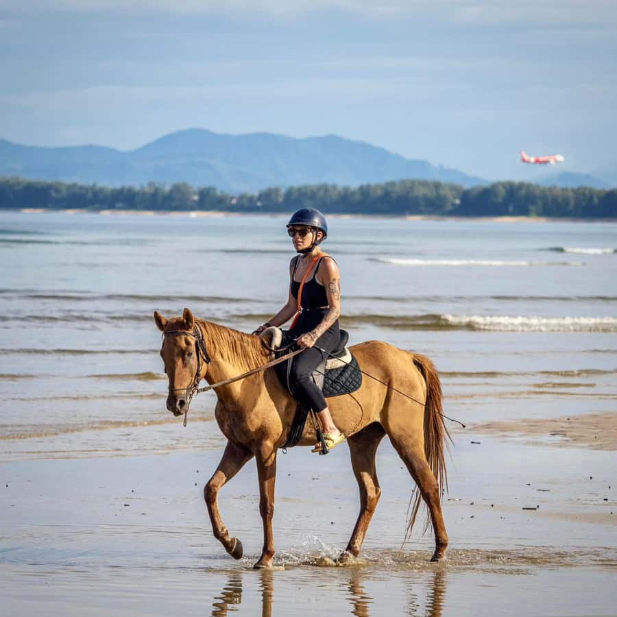Phuket Beach Horseback Adventure - A closer look at safety and animal care