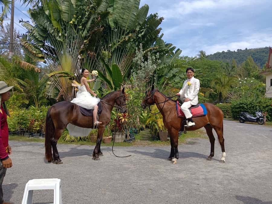 Phuket: Kamala Beach Horse Riding Activity - Returning to the stable for feeding and washing