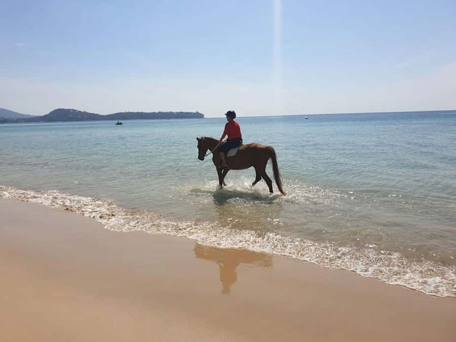 Phuket: Kamala Beach Horse Riding Activity - Who will enjoy this most