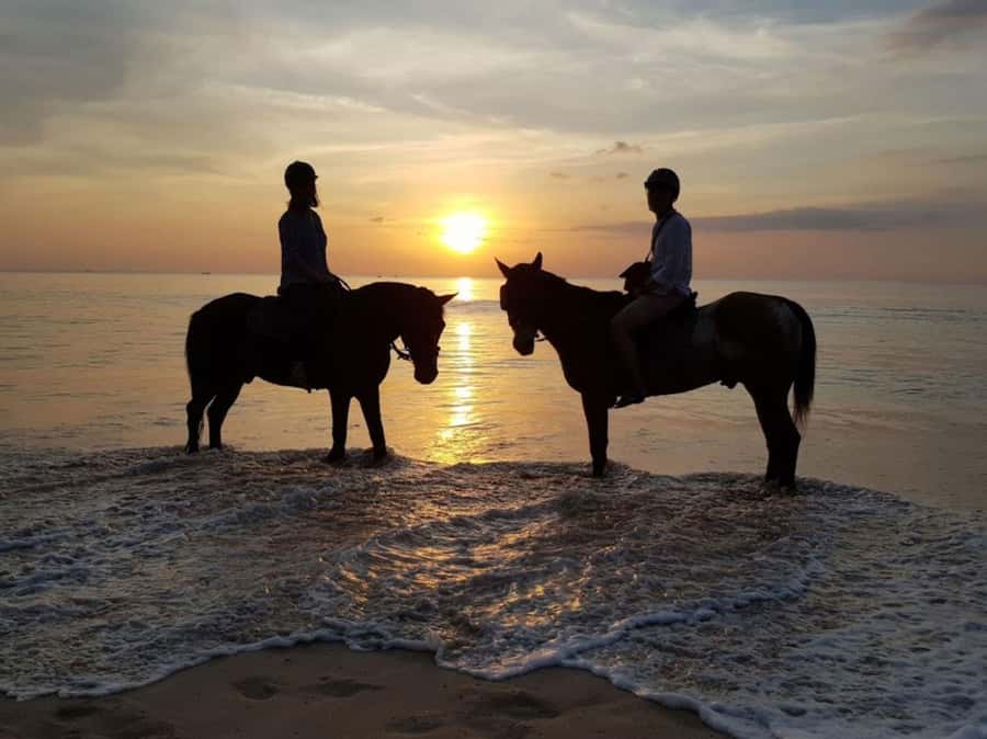 Phuket: Sunset Beach Horseback Journey - Key points to know before you book