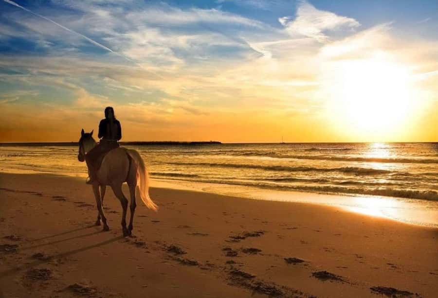 Phuket: Sunset Beach Horseback Journey - From the stable to Nai Yang Beach