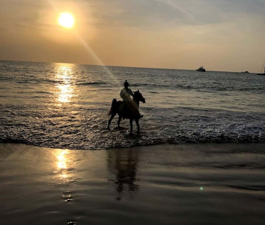 Phuket: Sunset Beach Horseback Journey - The possible sea ride is not guaranteed