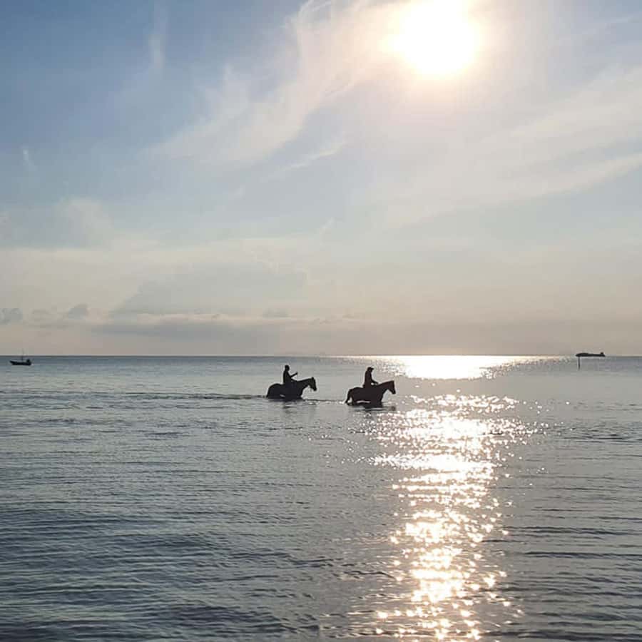 Phuket: Sunset Beach Horseback Journey - What the one-hour format means for your day