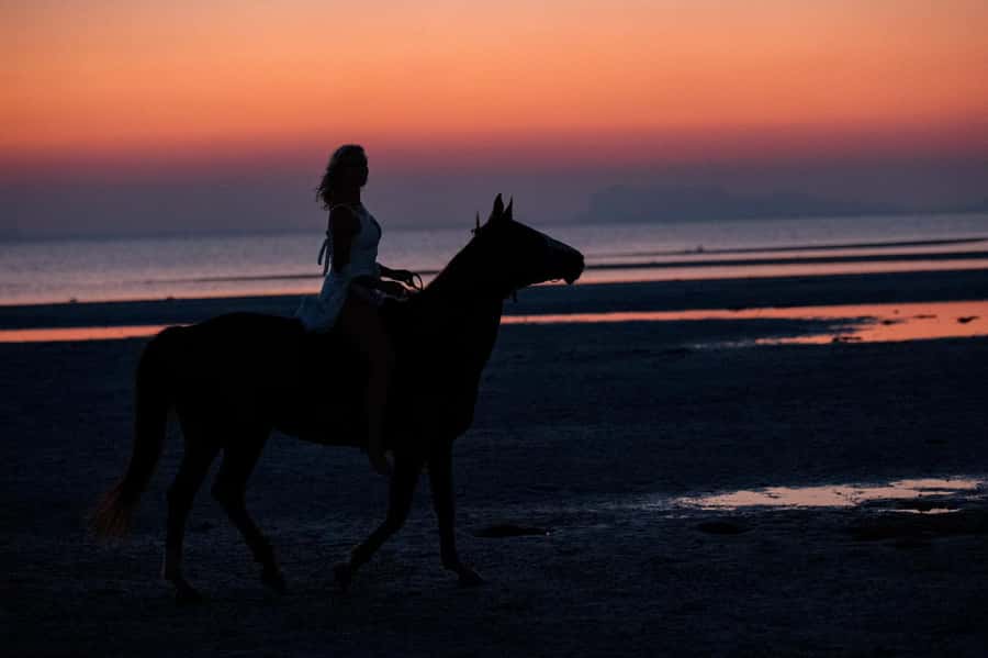 Phuket: Sunset Beach Horseback Journey - Group size, equipment, and safety