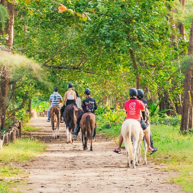 Phuket: Sunset Beach Horseback Journey - Should you book the Nai Yang sunset ride?