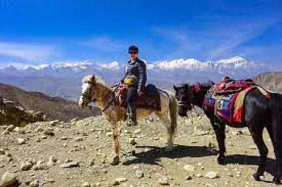 Pokhara: 1-Hour Horseback Ride with Hotel Pickup - Pickup From Pokhara Lakeside