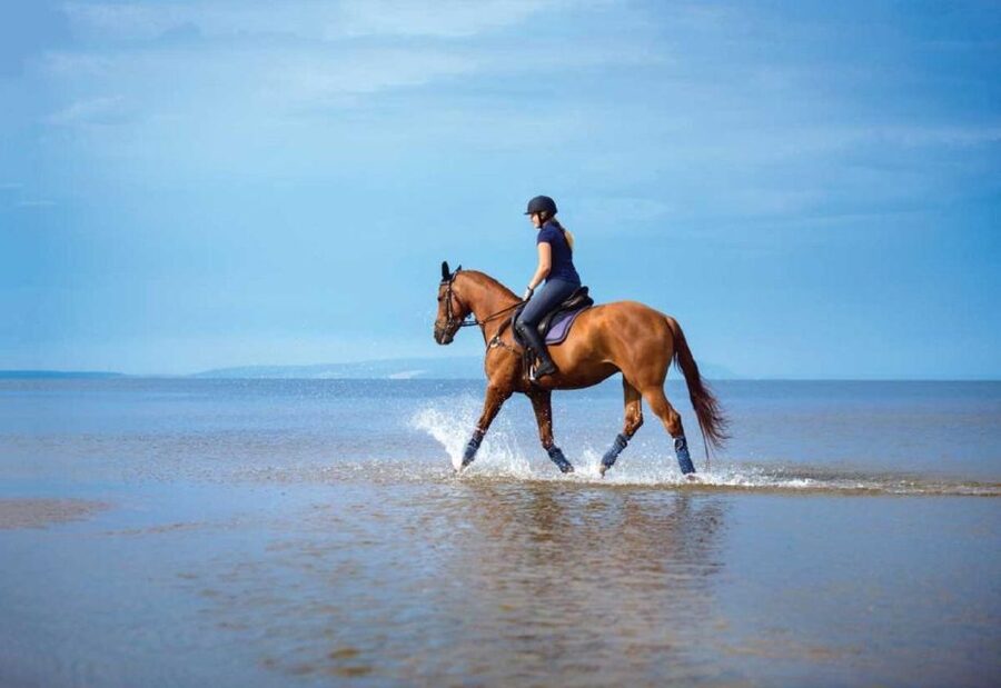 Pokhara: 1-Hour Horseback Ride with Hotel Pickup - What the $20 Price Gets You