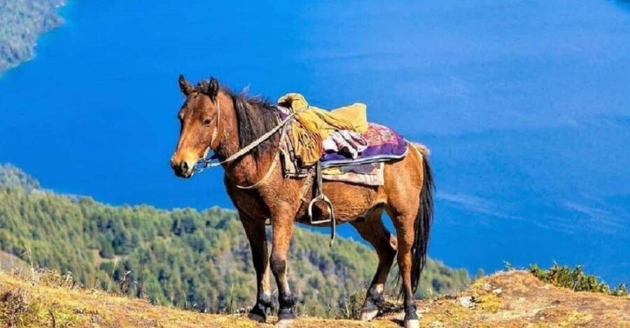 Pokhara: 1-Hour Horseback Ride with Hotel Pickup - Meeting the Horses and Getting Ready