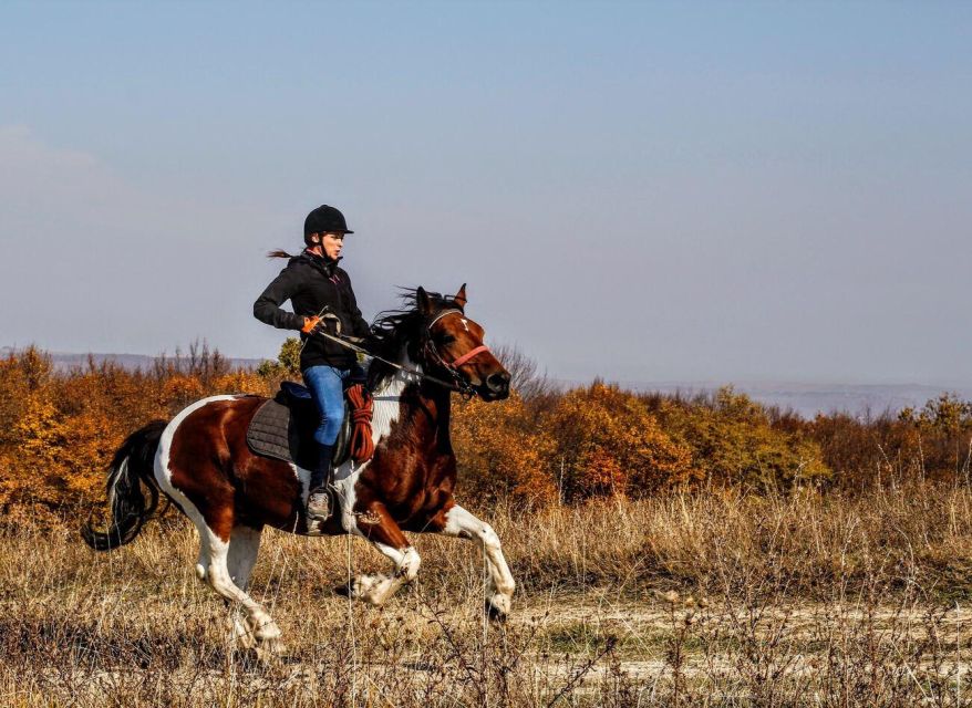 Pokhara: Horseback Adventure - Why this Pokhara ride feels different