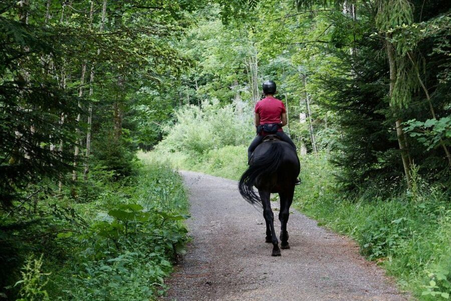 Pokhara: Horseback Adventure - Meeting the horses and getting ready to ride