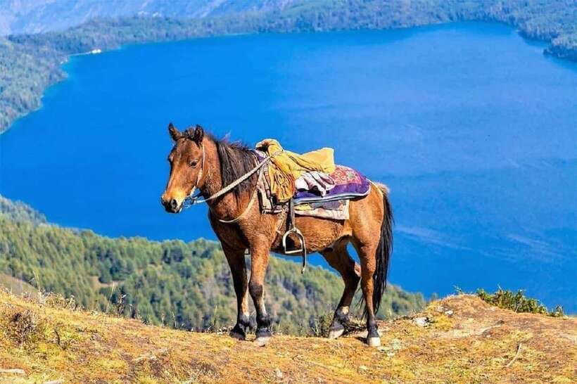 Pokhara: Horseback Riding Adventure with Hotel Pickup - Seeing Pokhara from the saddle
